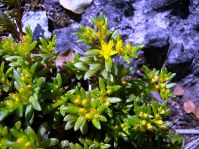 e0272335_20515419.jpg
