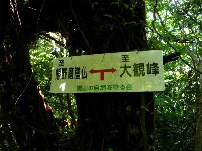 e0272335_2056187.jpg