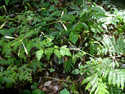 e0272335_21121819.jpg