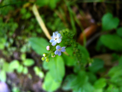 e0272335_21245912.jpg