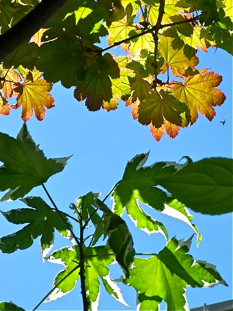 b0027736_19244245.jpg