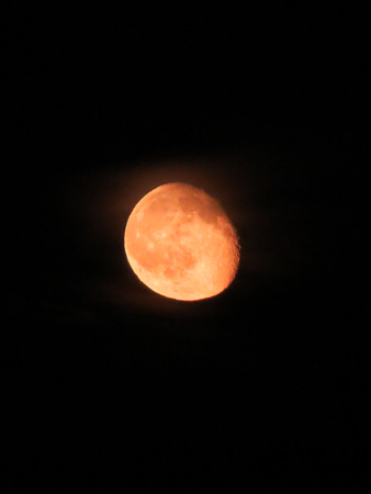 f0234936_15165198.jpg
