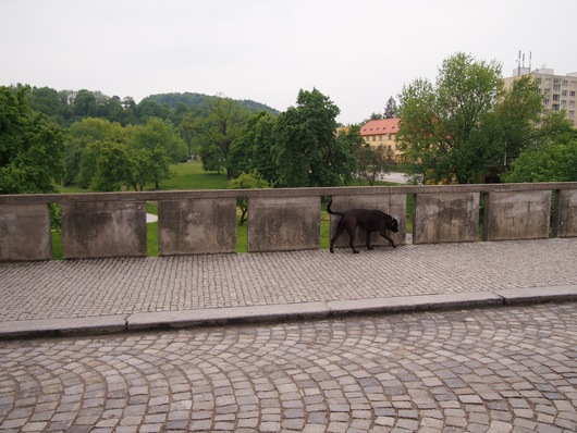 e0211739_1523431.jpg