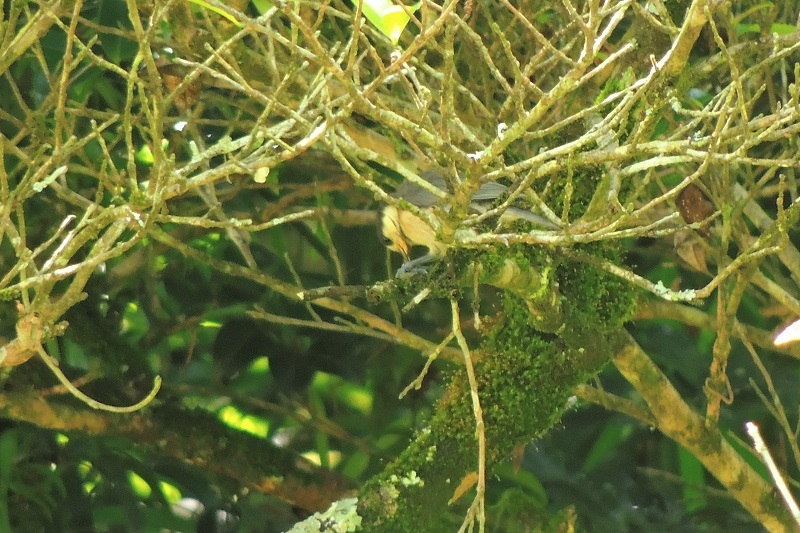b0288942_20264132.jpg