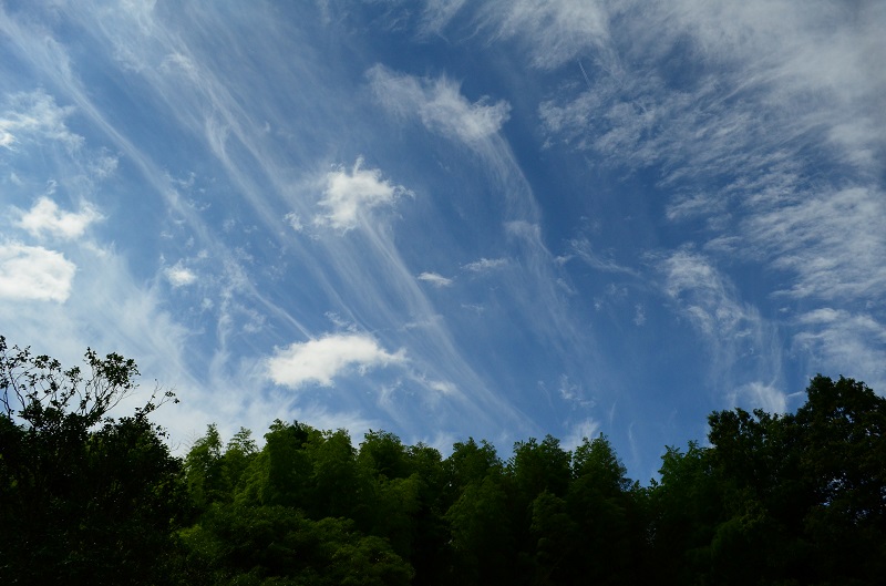 b0288942_20281516.jpg