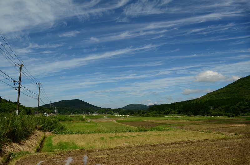 b0288942_2028888.jpg