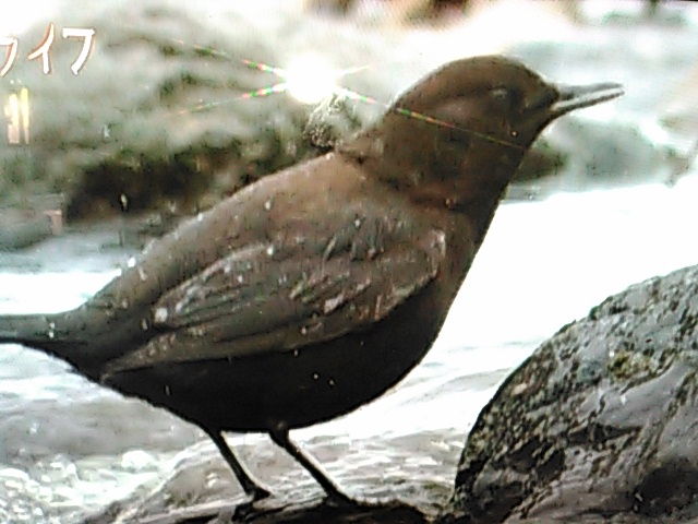 a0054043_21465654.jpg