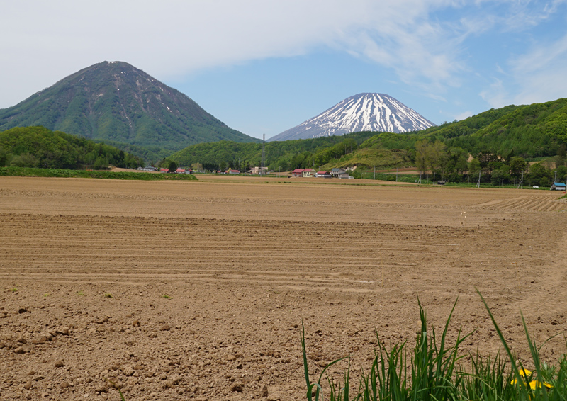 a0112747_6425810.jpg