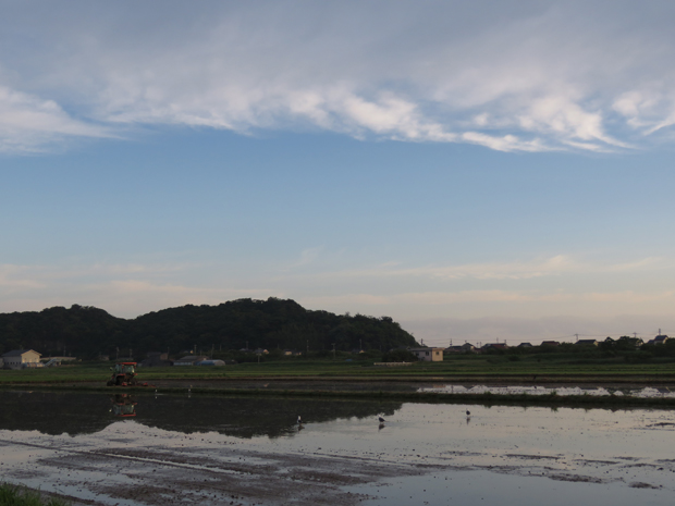 f0214649_4204452.jpg