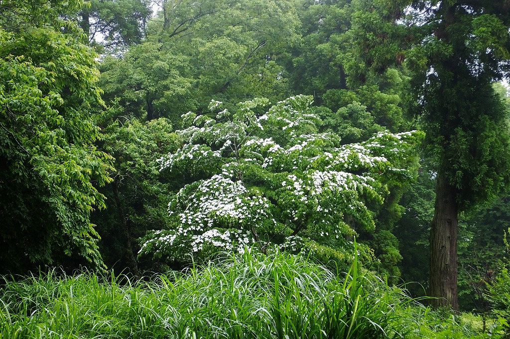 b0236251_10244768.jpg