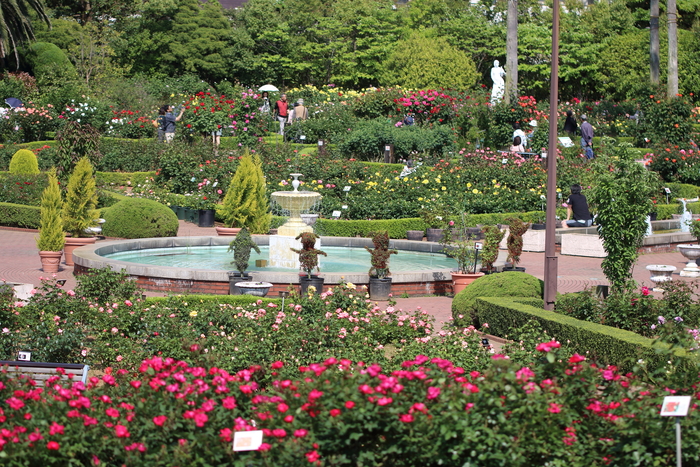 d0152261_22554666.jpg