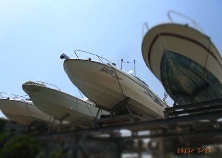 b0075364_21434712.jpg