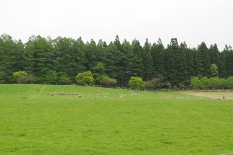 e0045768_22435114.jpg