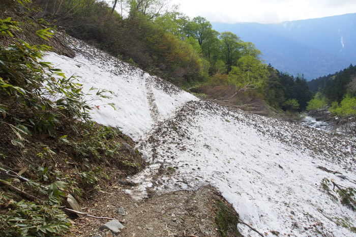 e0307372_15150614.jpg