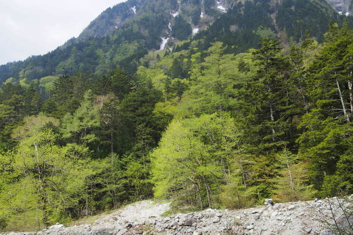 e0307372_15161062.jpg