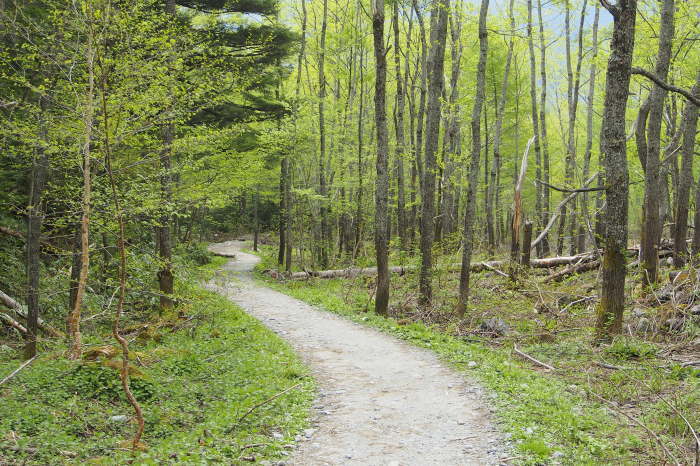 e0307372_15163386.jpg