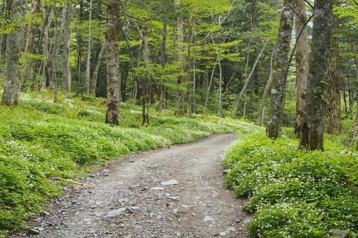 e0307372_15273392.jpg