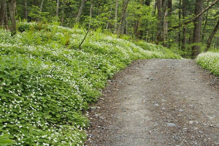 e0307372_15282938.jpg