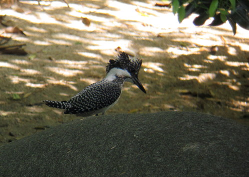 f0137673_212489.jpg
