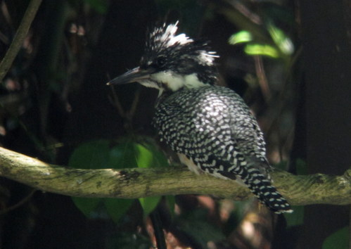 f0137673_2133066.jpg
