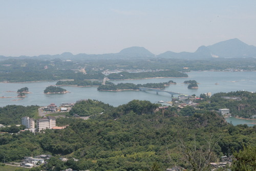 f0153475_14231779.jpg