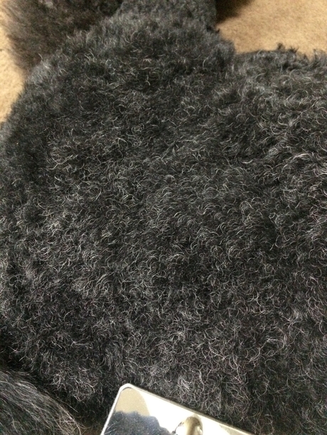 c0283778_10564262.jpg
