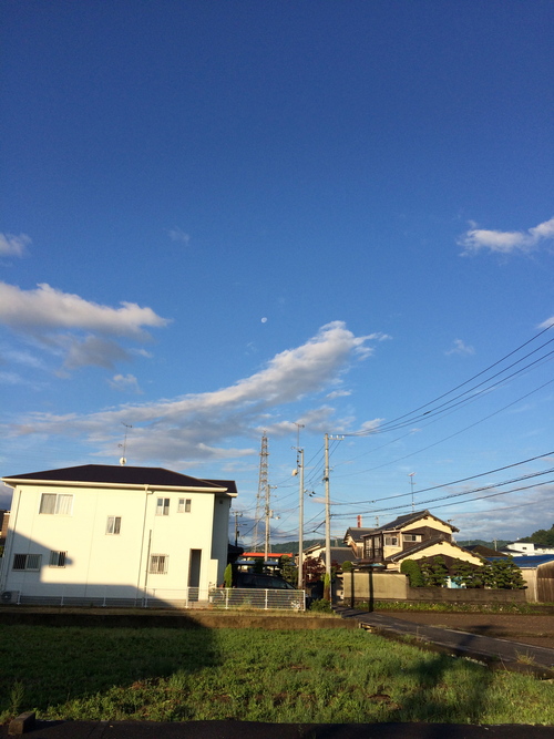 a0326292_759193.jpg