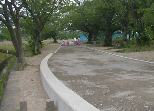 d0053294_175389.jpg