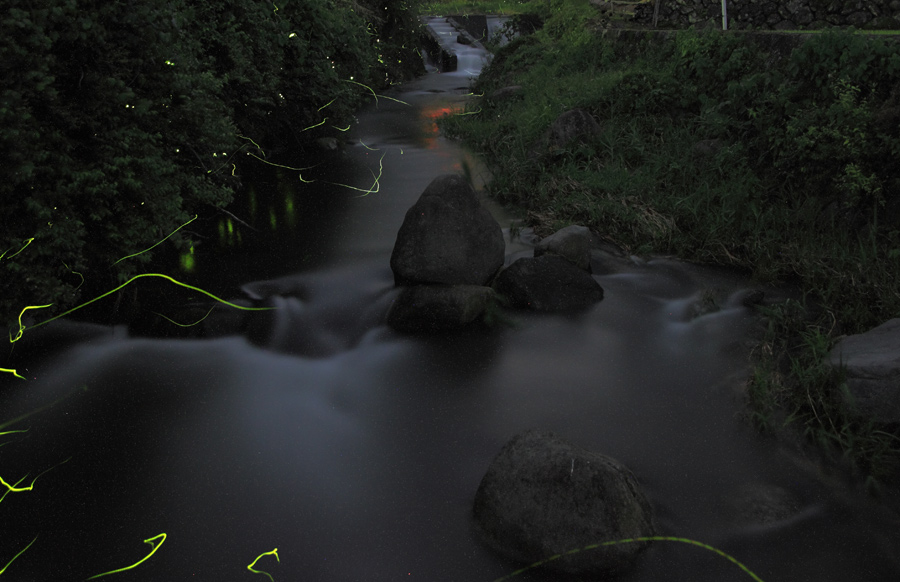 e0093903_11181093.jpg