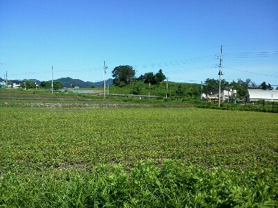 f0149708_10205514.jpg