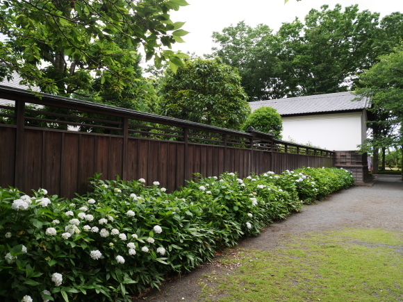 f0302208_02171320.jpg