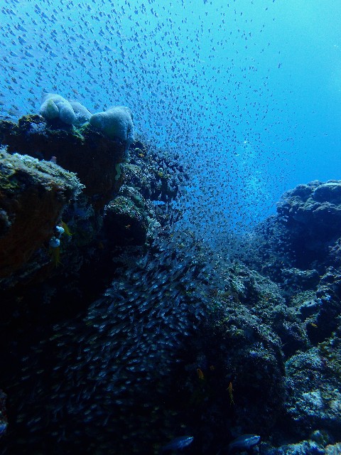 f0043911_311653.jpg