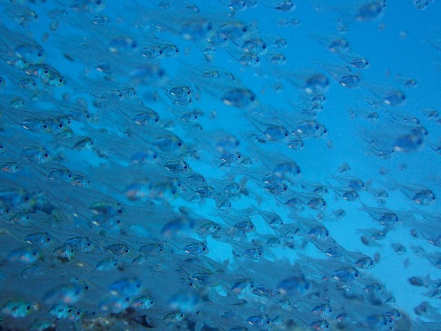 f0043911_3123597.jpg