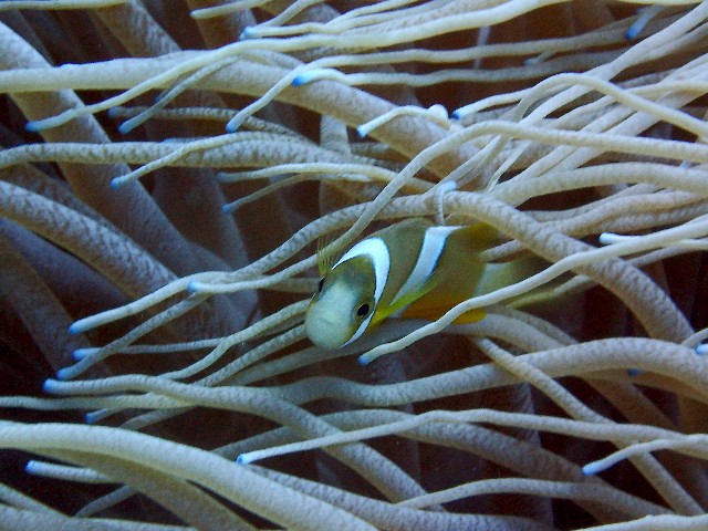 f0043911_314177.jpg
