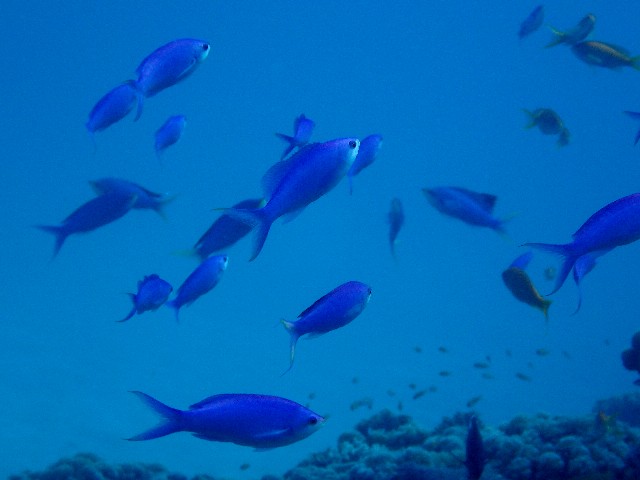 f0043911_3143656.jpg