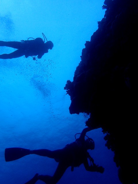 f0043911_3152699.jpg