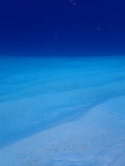 f0043911_315862.jpg