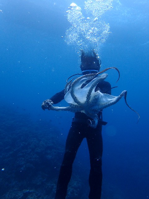 f0043911_316311.jpg