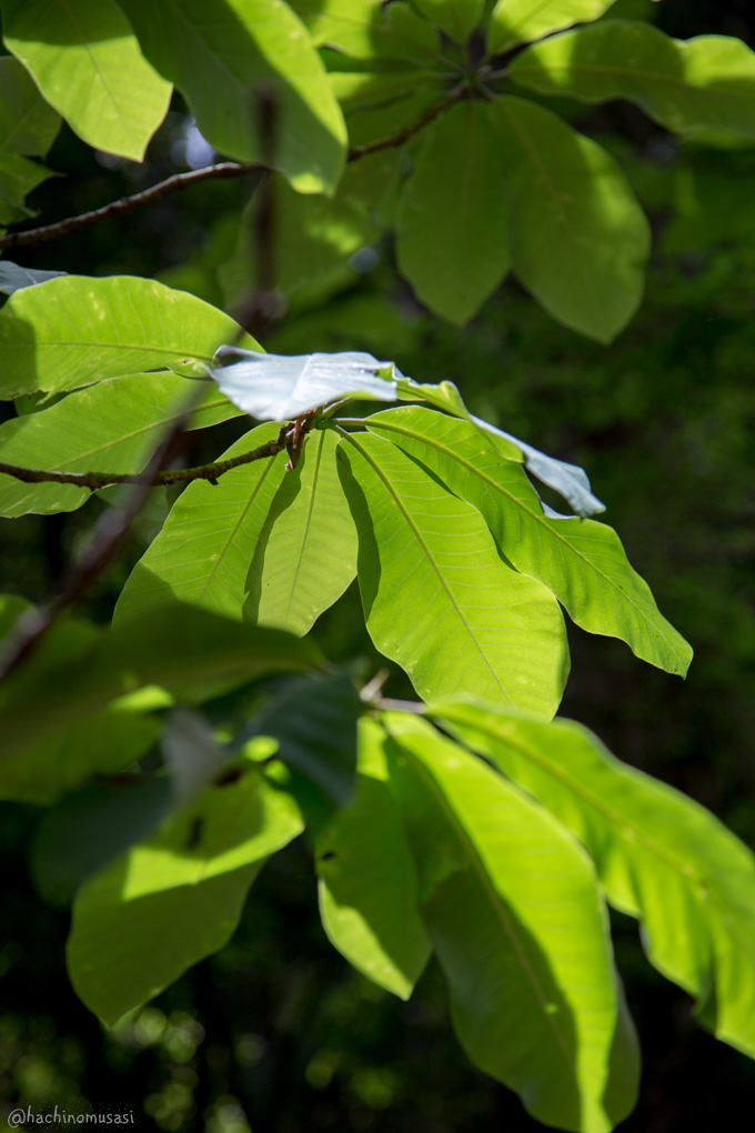 f0249918_16425340.jpg