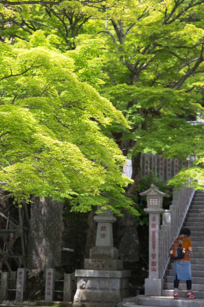 f0249918_1644914.jpg