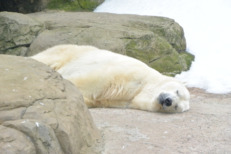 f0344626_16022234.jpg