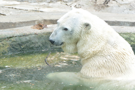 f0344626_16035026.jpg