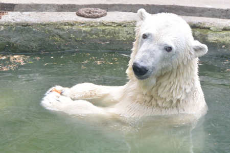 f0344626_16041056.jpg