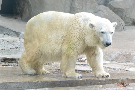 f0344626_16051040.jpg