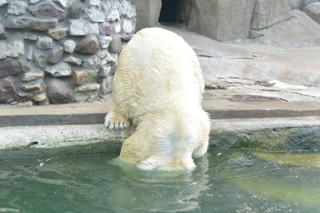 f0344626_16051634.jpg