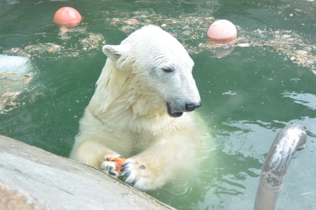 f0344626_16053525.jpg