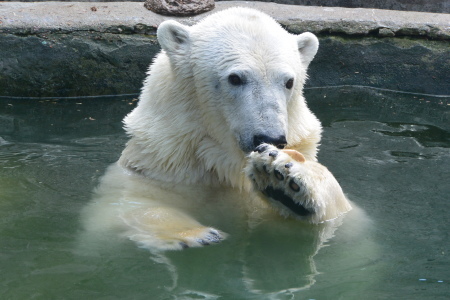 f0344626_16075497.jpg