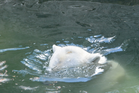 f0344626_16080520.jpg