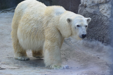 f0344626_16082803.jpg