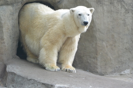 f0344626_16092409.jpg